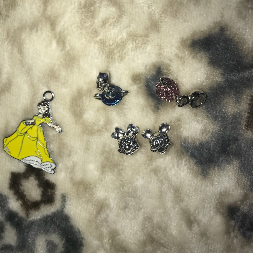 Pandora charms